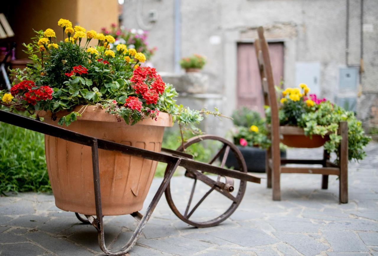 Dimora Turistica De' Piazza Hotel Roccalvecce Eksteriør billede